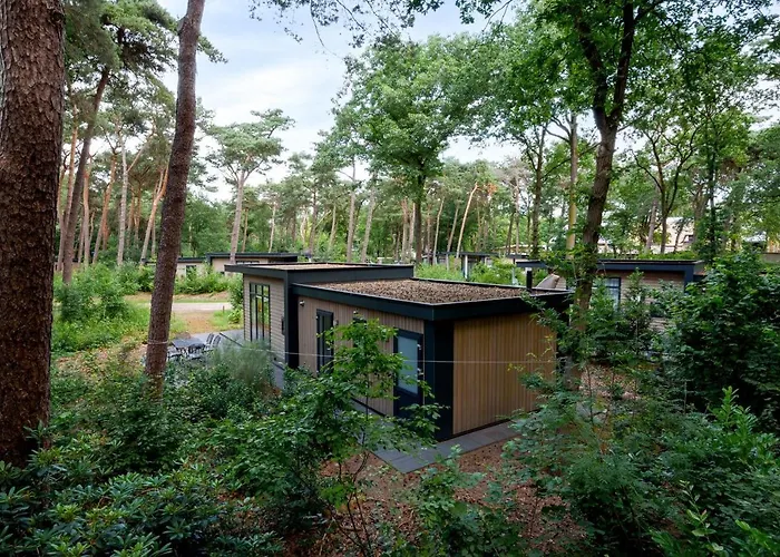 Forestlodge In Het Vechtdal - 5 Persoons