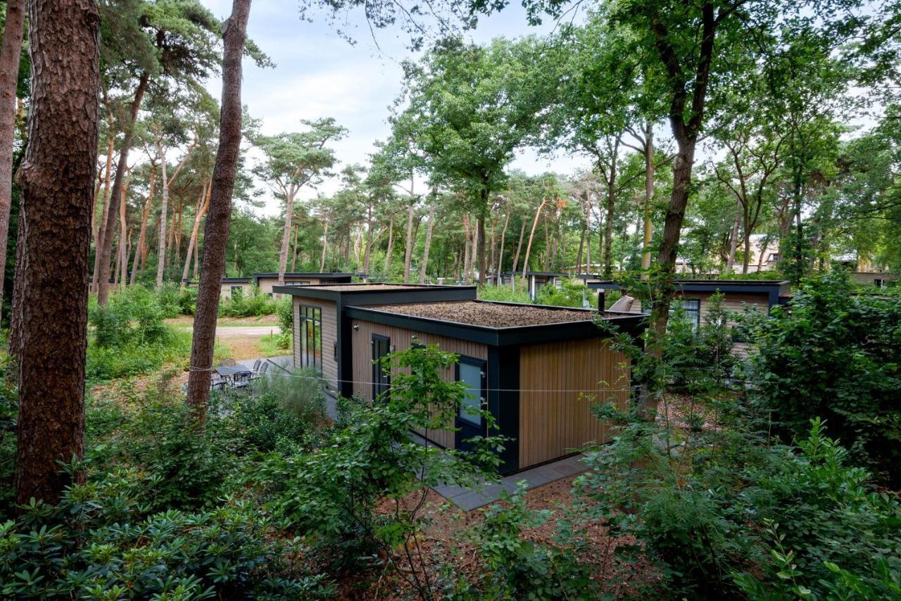 Ferienhaus Forestlodge In Het Vechtdal - 5 Persoons